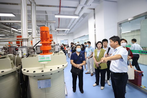 高質(zhì)量發(fā)展調(diào)研行 企業(yè)觀察 桃花源走出了格林美 打造世界領(lǐng)先的電子廢棄物循環(huán)工廠